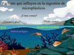 Bárbara Pinto, tesis 02 2020 portada, Biología Marina UMAG, Universidad de Magallanes