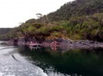Isla Guarello - Proyecto Tesis Rodrigo Ojeda 2021