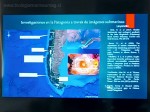 Alejandra Carroza - Proyecto de Tesis fotografía submarina - Biología Marina UMAG 2023