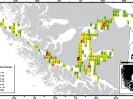 Species richness Mollusca Strait of Magellan - Riqueza de especies de Moluscos en el Estrecho de Magallanes - Zookeys - Biología Marina UMAG