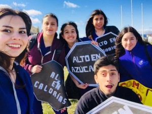 Nutrición y Dietética realiza una Intervención Urbana en Barrios de Punta Arenas 2017 (16)