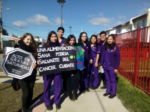Nutrición y Dietética realiza una Intervención Urbana en Barrios de Punta Arenas 2017 (9)