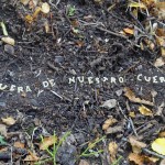Una de sus frases formadas con “sopas de letras” sobre uno de los troncos en el Parque Omora.