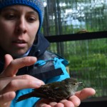 La investigadora Rocío Jara trabajó durante tres periodos de primavera y verano en la isla Navarino, especialmente en el Parque Omora, para monitorear el proceso de nidificación de las aves y ver la intervención de los depredadores.