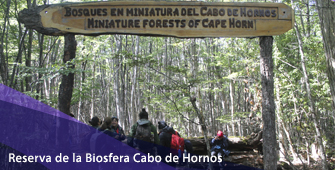 Reserva de la Biosfera Cabo de Hornos