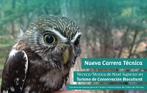 UMAG estrenará la carrera técnica más austral de Chile: Turismo de Conservación Biocultural